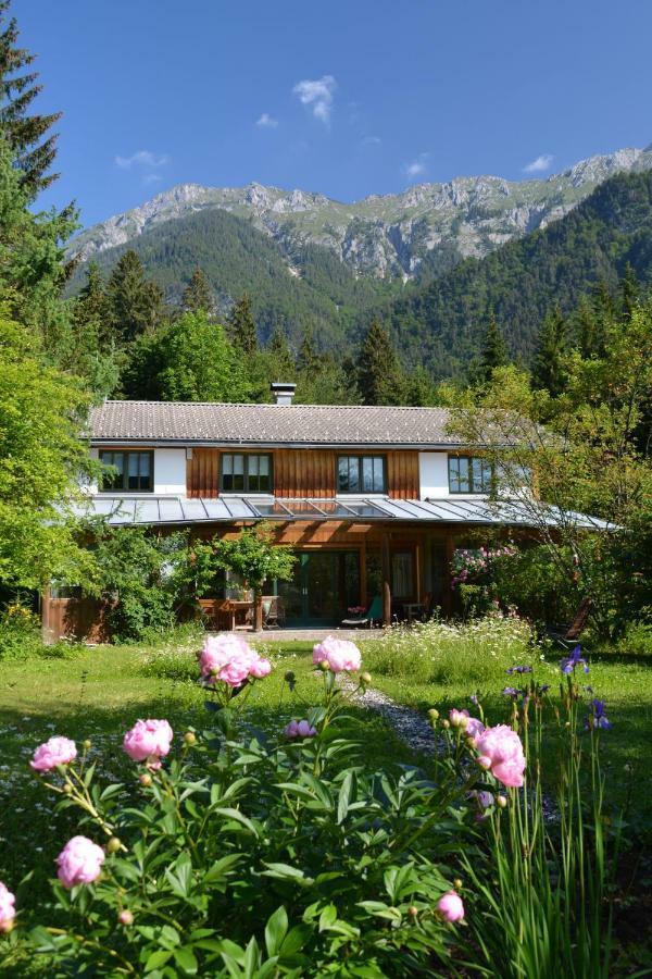 Petra Maria Soelle - Ferienhaus Sehr Privat Presseggersee Exterior photo